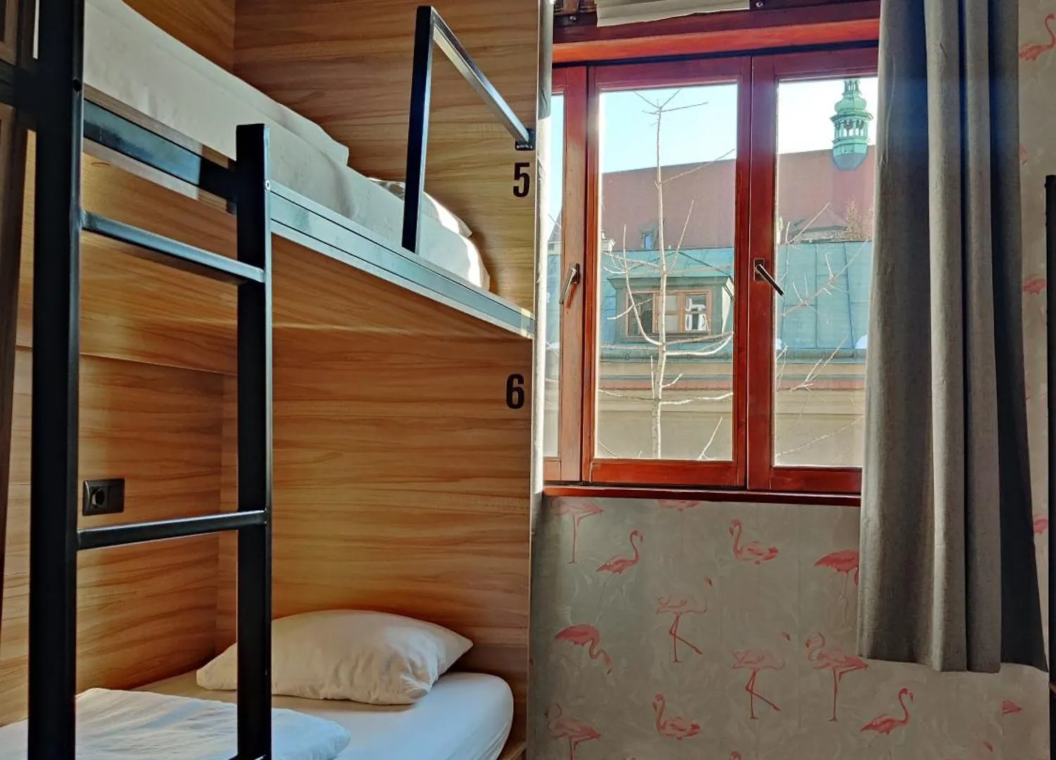 Hostel Viki Kazimierz Pansiyon Krakow Polonya